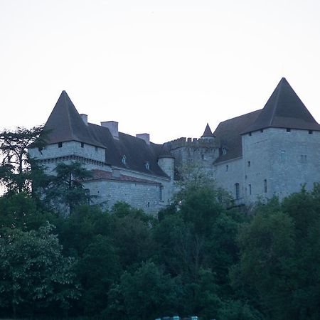 הוילה Chateau De Goudourville מראה חיצוני תמונה