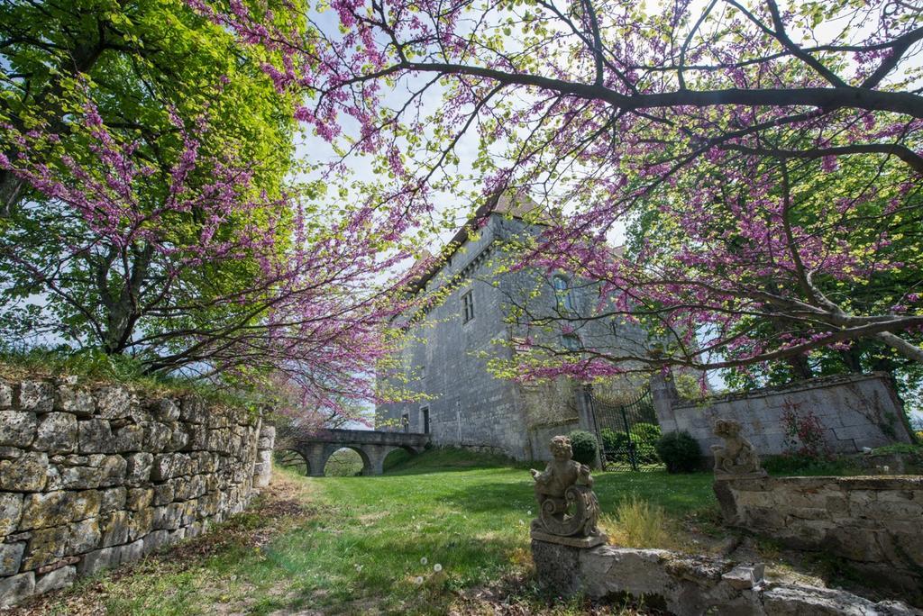 הוילה Chateau De Goudourville מראה חיצוני תמונה