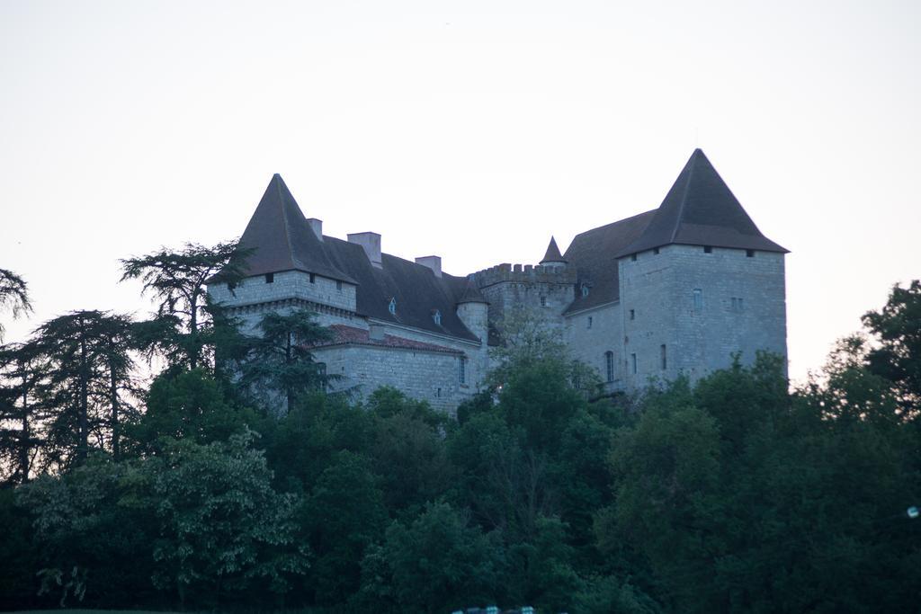 הוילה Chateau De Goudourville מראה חיצוני תמונה