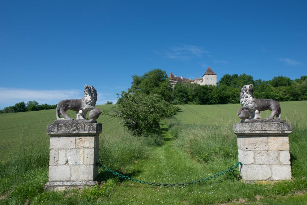 הוילה Chateau De Goudourville מראה חיצוני תמונה